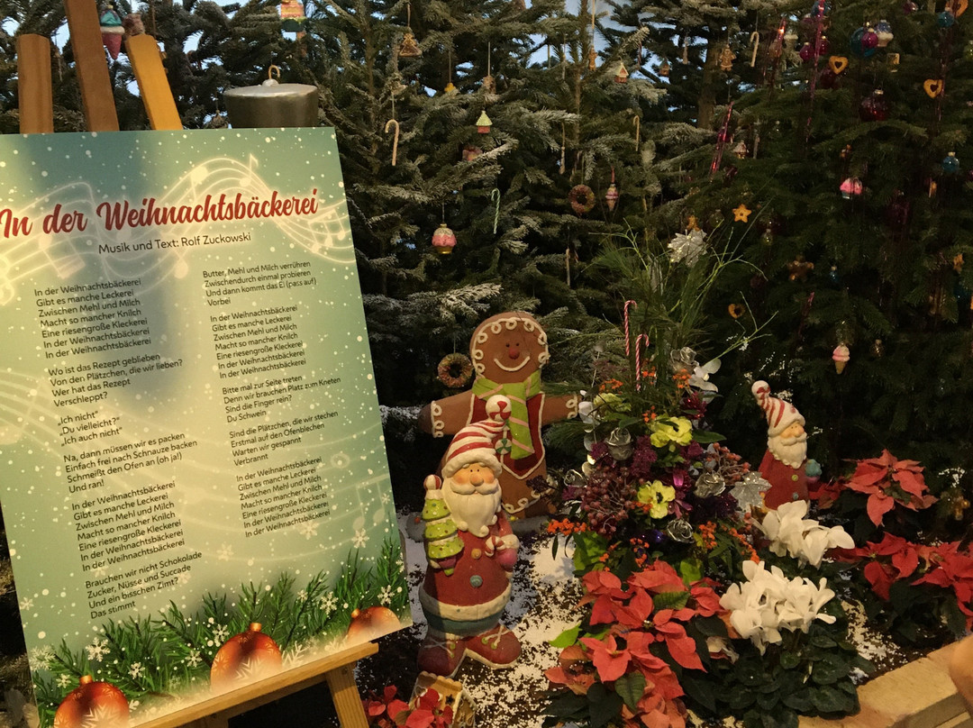 Blumengärten Hirschstetten-维也纳必去景点