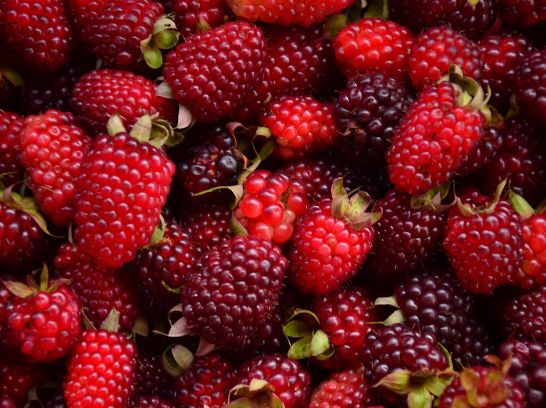 Reserva La Rivera-萨伦托必去景点