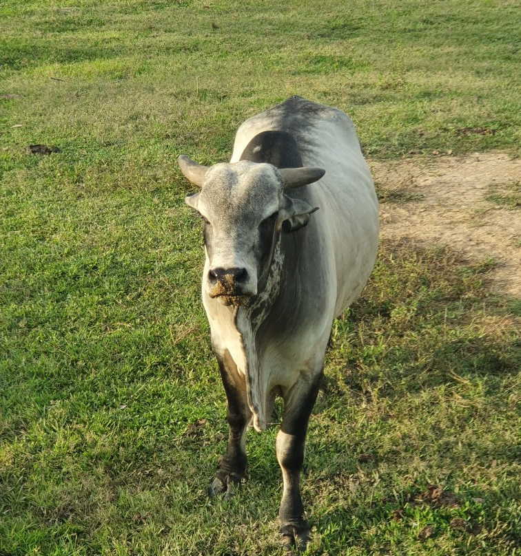 Tiuma Park-比亚维森西奥必去景点