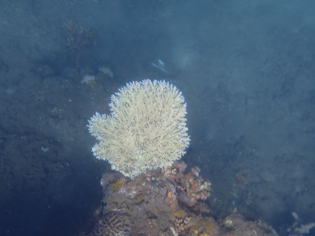 Tenggo bali tour-达巴南必去景点