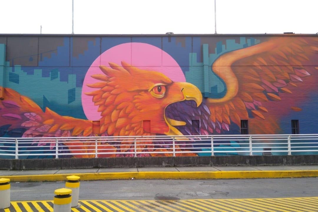 Pura Vida Private Tours-麦德林必去景点