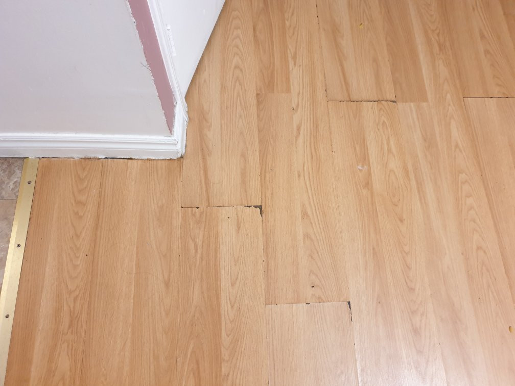 Blue Moon Motel主图