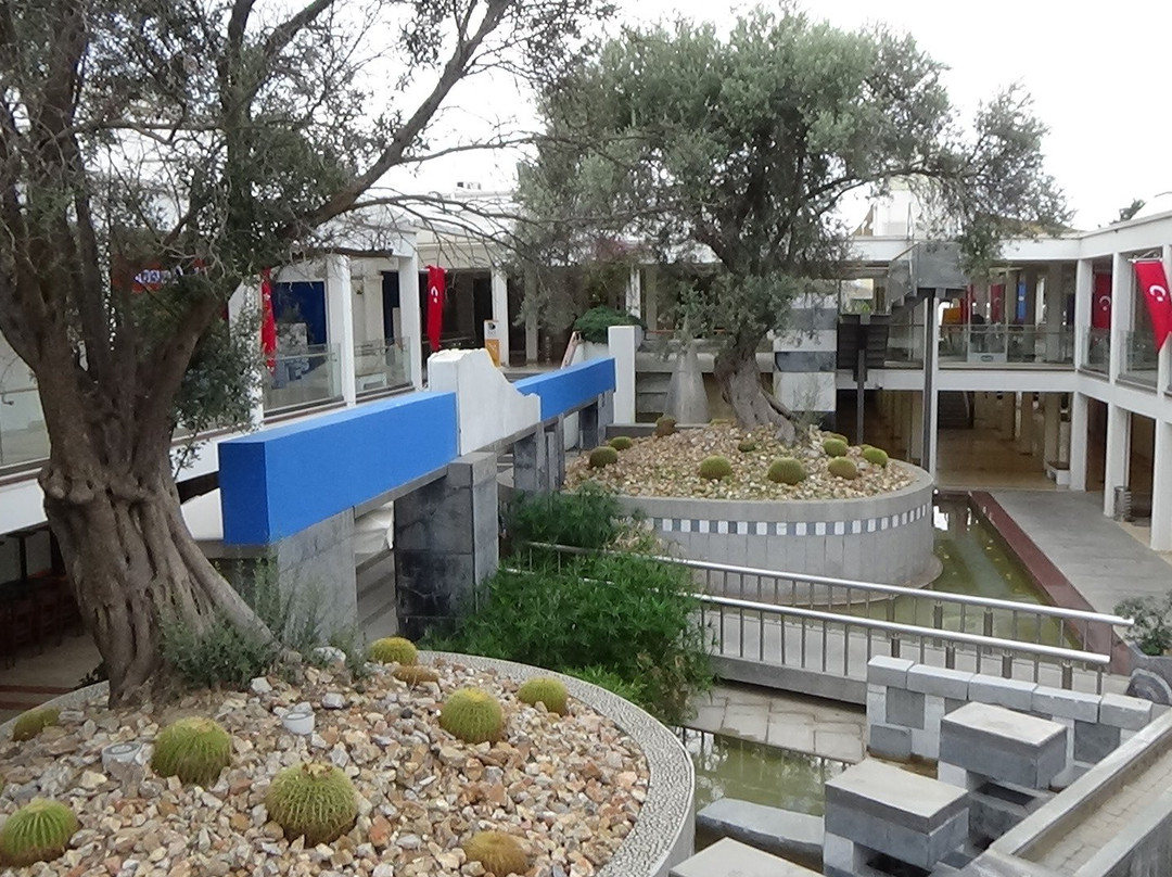 Oasis Mall-博德鲁姆必去景点