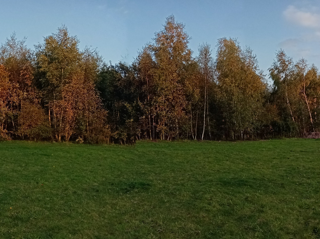 Roughton Park-Roughton必去景点