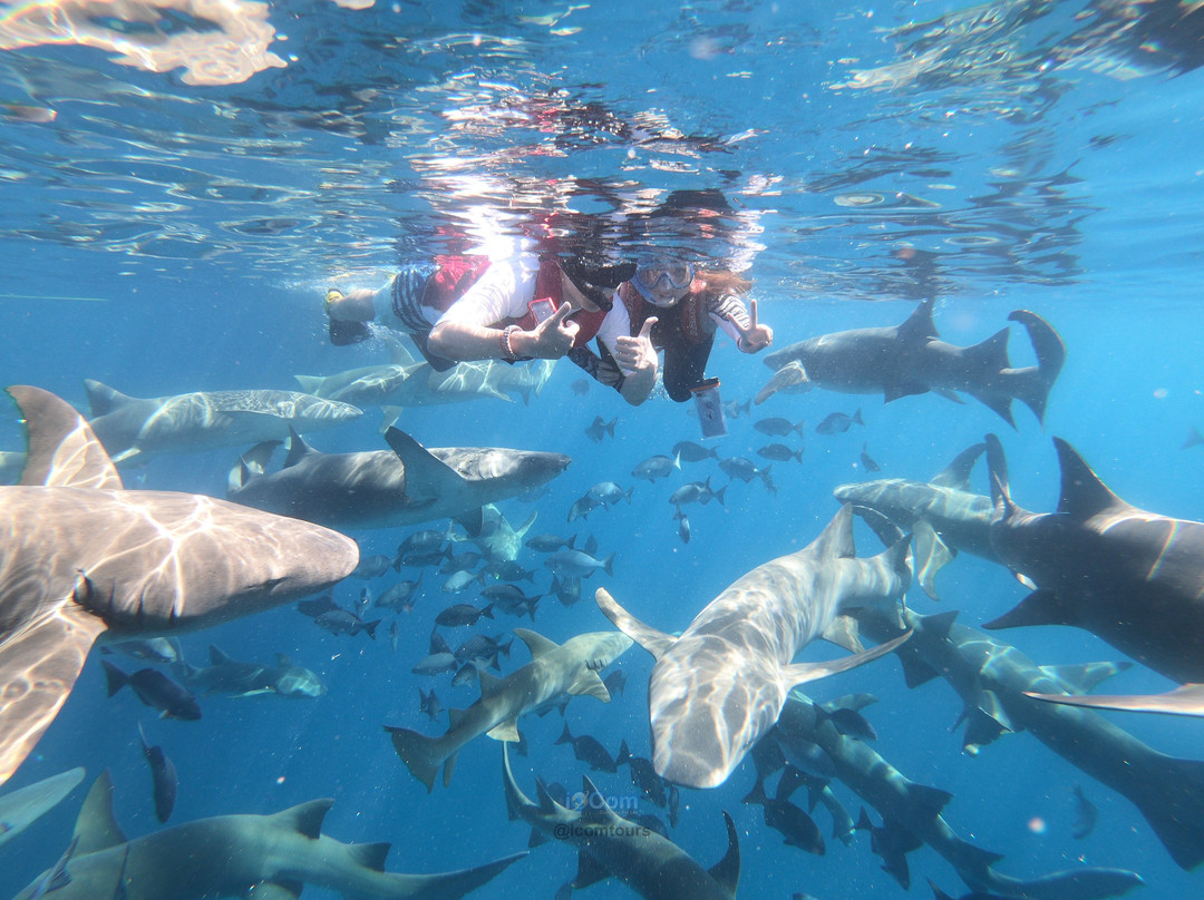 iCom Tours - Private Day Tours-马富士岛必去景点