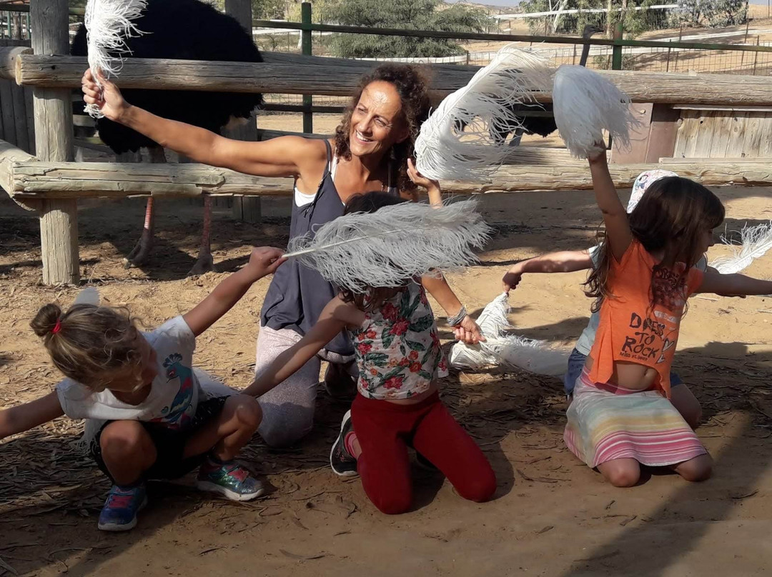 ElHayaen Ostrich Farm