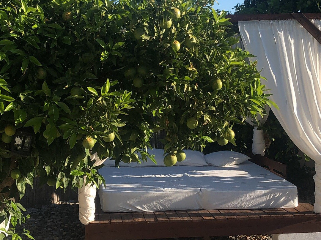 Finca Rayo del Sol主图