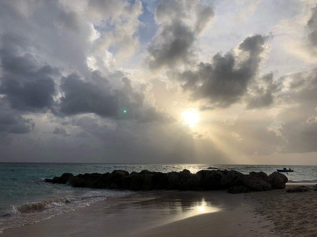 Crystal Waters Bar-Worthing必去景点