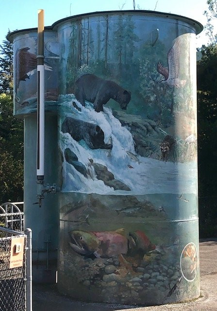 Issaquah Salmon Hatchery景点图片