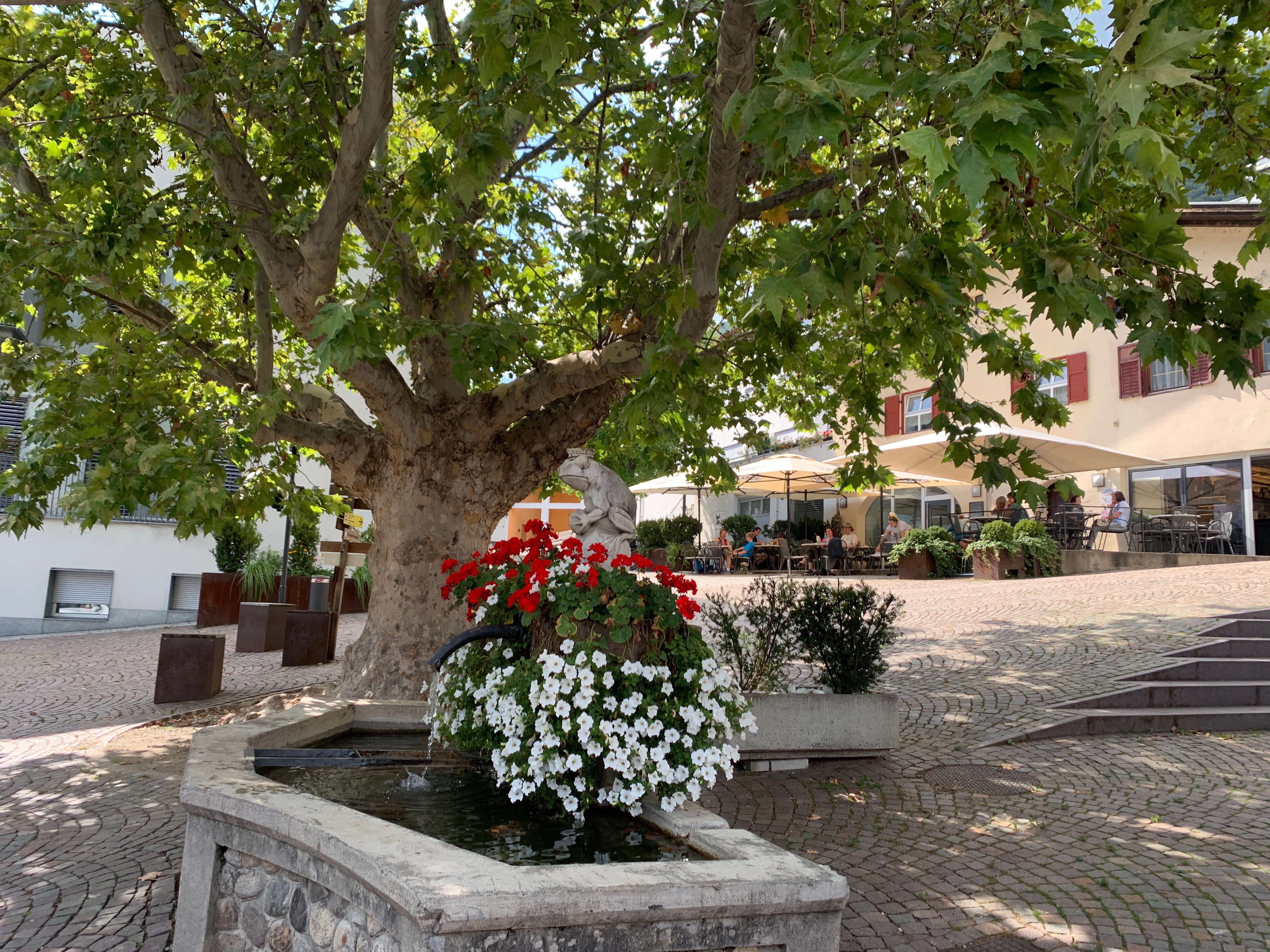 Landhaus Mondschein-官方