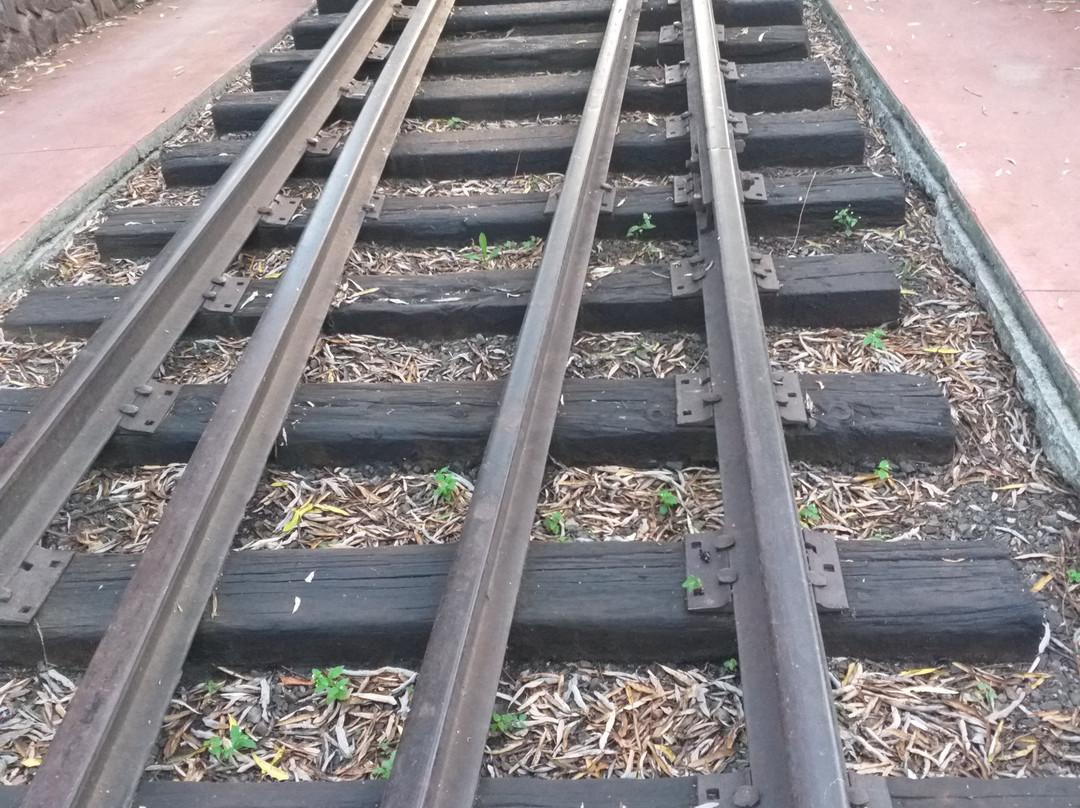 Parque Lineal Vias Verdes-Atotonilco El Alto必去景点