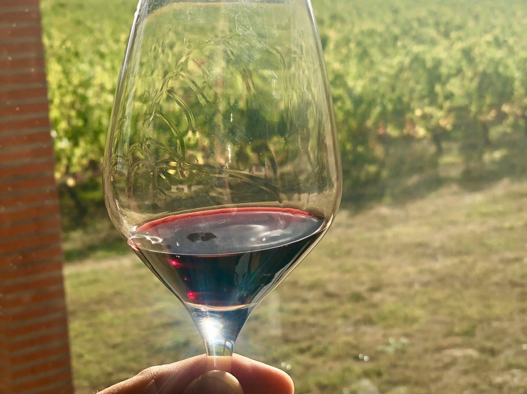 Domaine D'en Segur-Lavaur必去景点