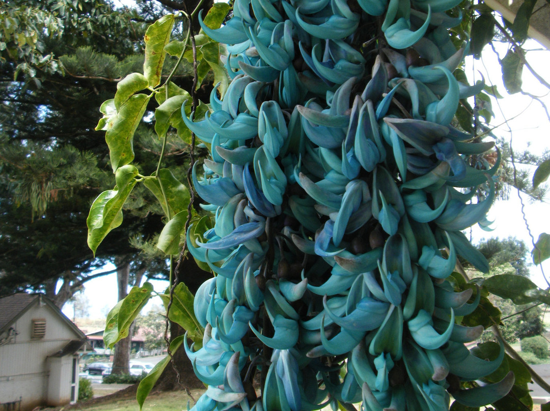 Makena State Park-维雷亚必去景点