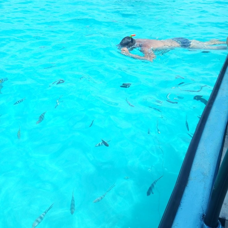 Zanzibar-Tour-桑给巴尔市必去景点