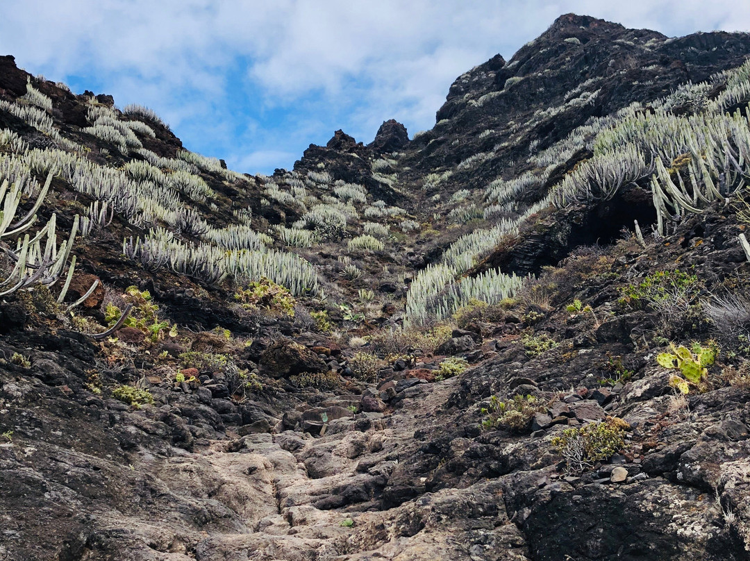 Sentiero Punta del Hidalgo - Chinamada-Punta del Hidalgo必去景点