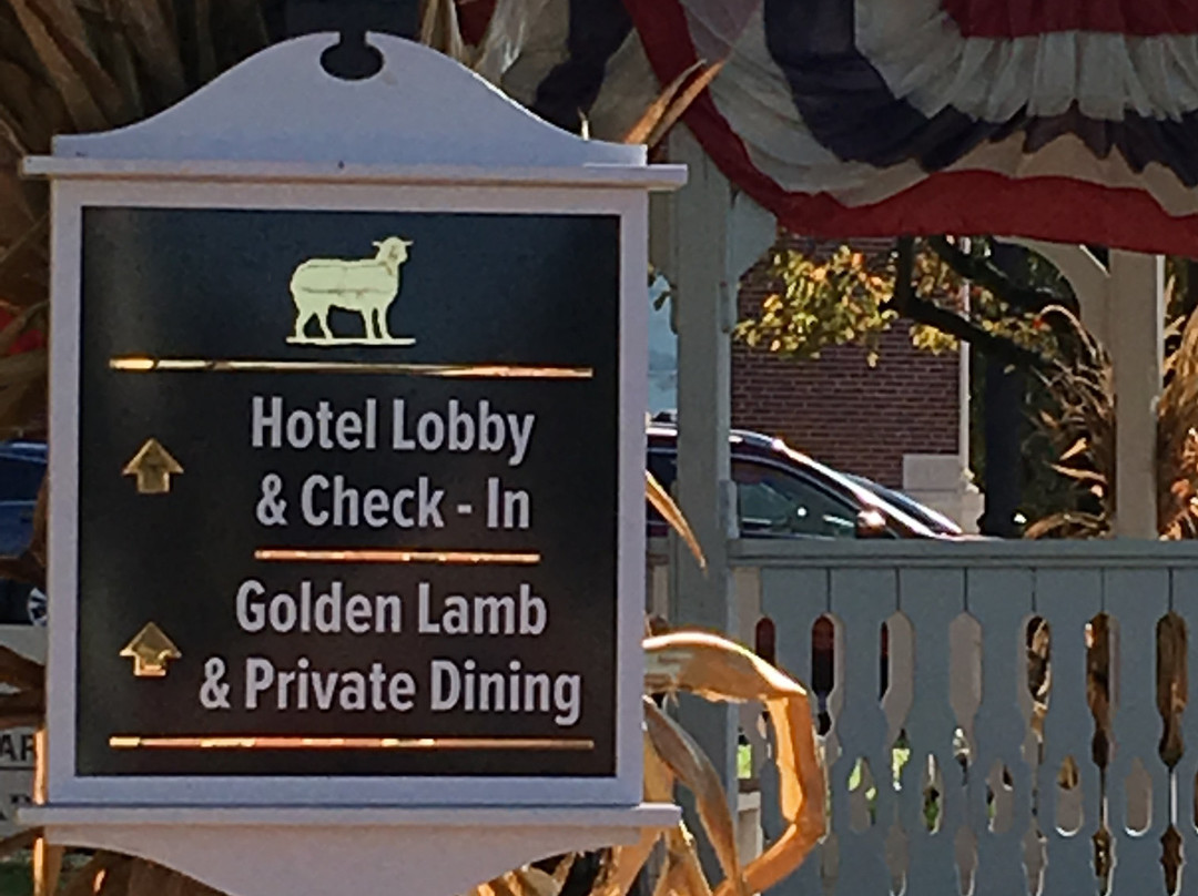 黄金羔羊旅舍主图