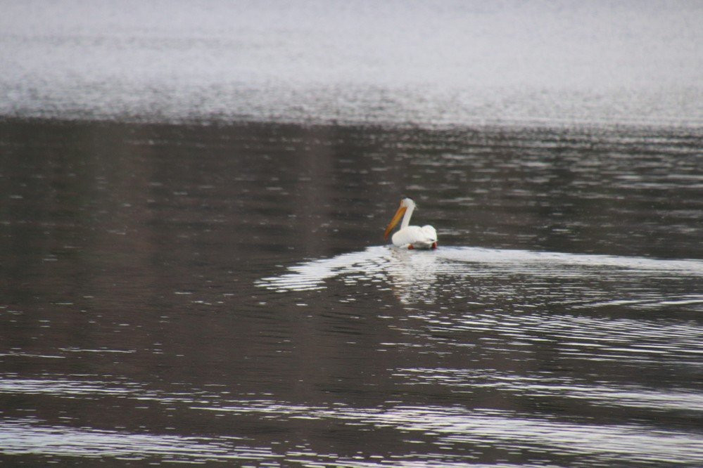 Hauser Lake-赫勒拿必去景点