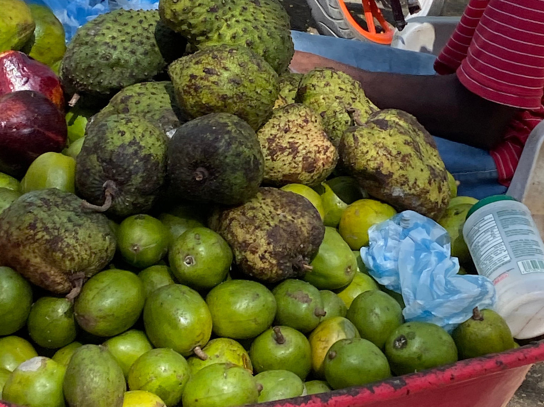 Eric Tours International-苏莎亚必去景点