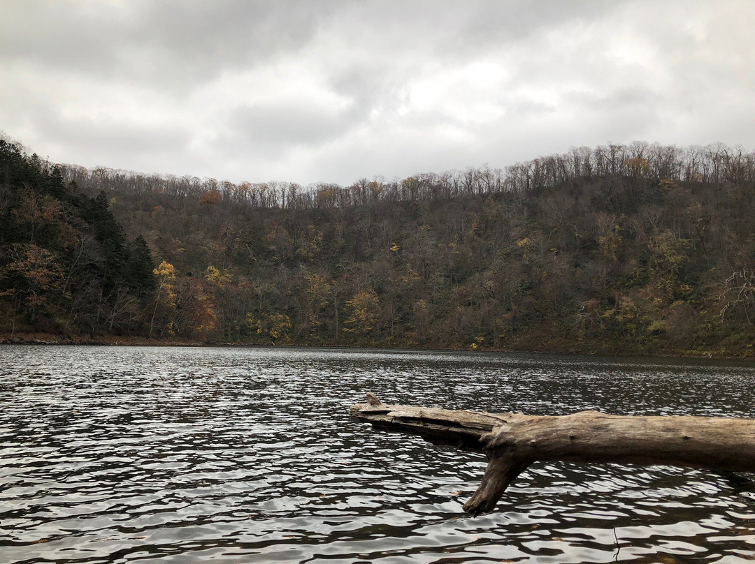 Lake Hangetsu Nature Park景点图片