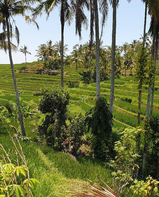 Bali And Tours-登巴萨必去景点