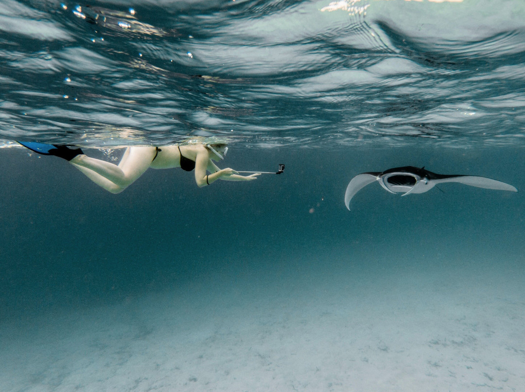 Dive Club Ukulhas Maldives景点图片