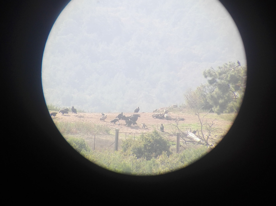 Dadia Forest Inn主图