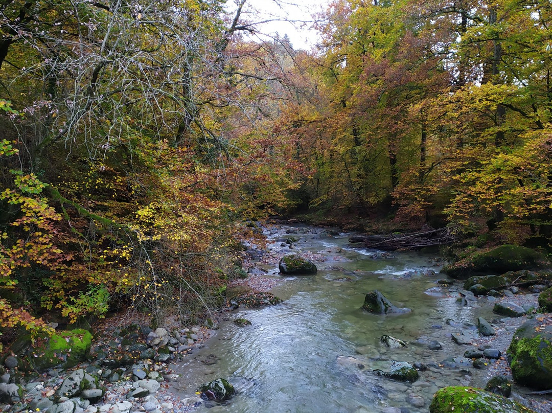 l'Arboretum du Vallon de l'Aubonne景点图片