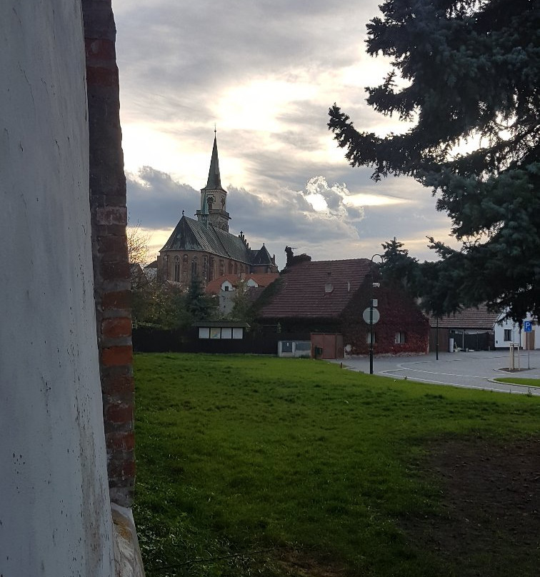 Naucna turisticka trasa mestem Nymburk景点图片