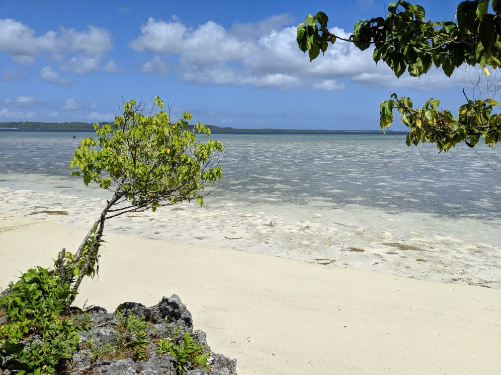 Wakatobi Hoga Diving主图