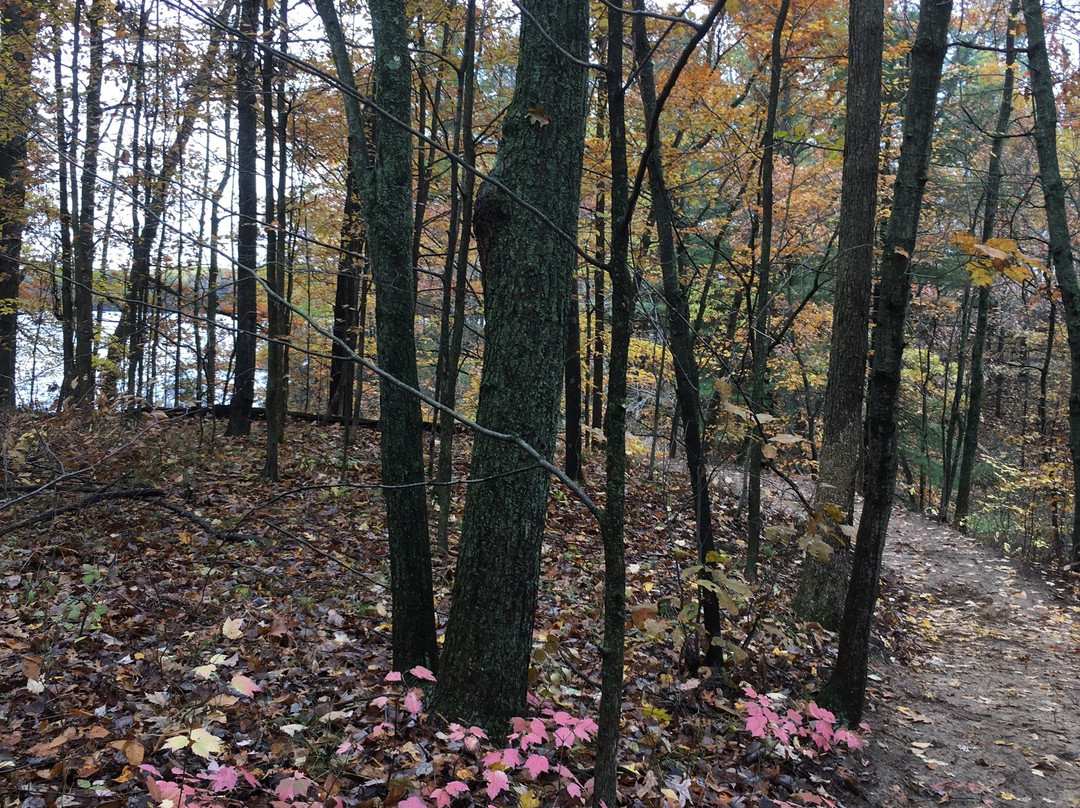 Newaygo State Park景点图片