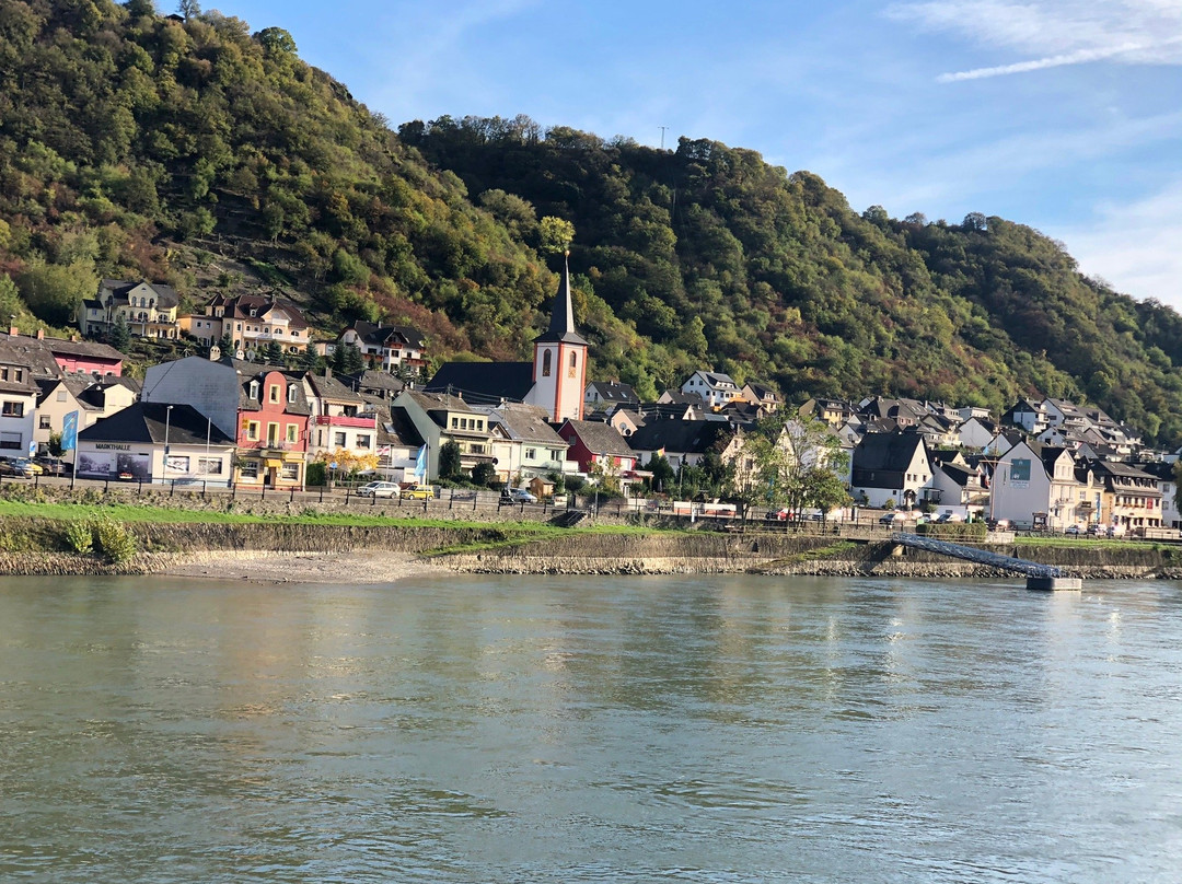 Rhine River Day Cruises-莱茵河畔宾根必去景点