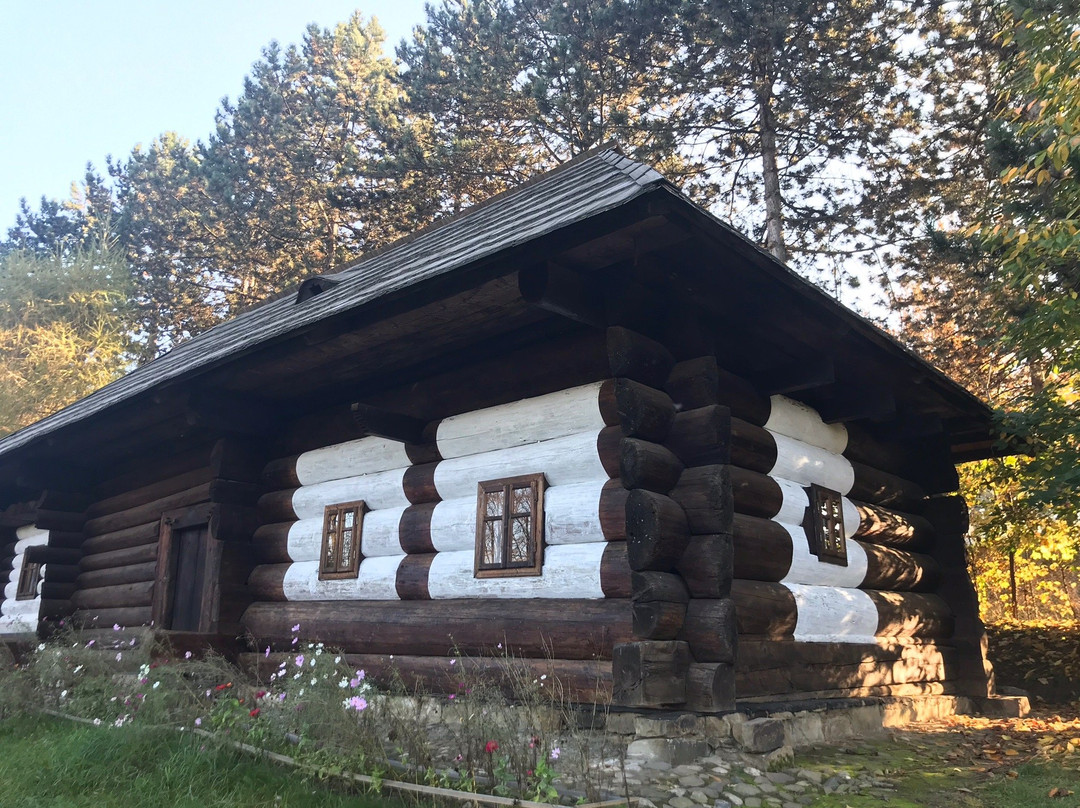 Bucovina Village Museum景点图片