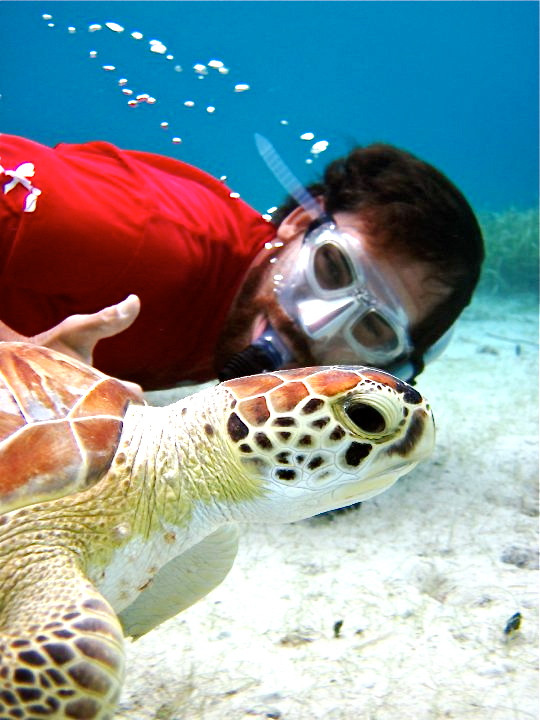 Kayaking Puerto Rico-库莱布拉岛必去景点
