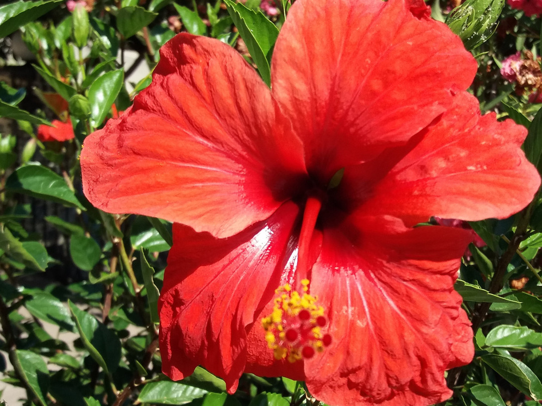 Melissourgakion旅游攻略图片