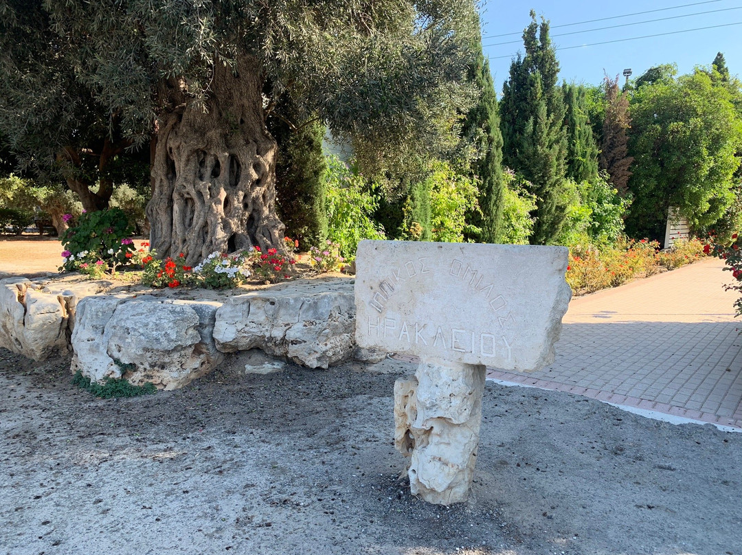 米诺斯乡村酒店主图