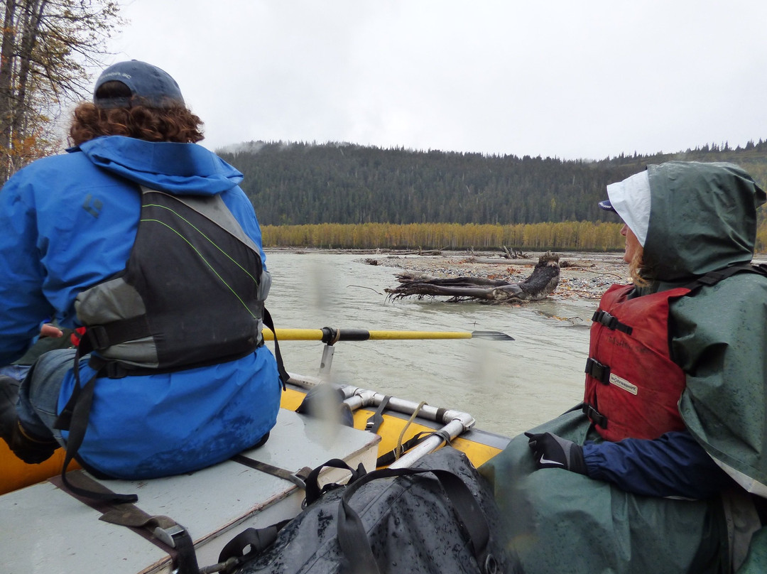 Chilkat Bald Eagle Preserve-海恩斯必去景点