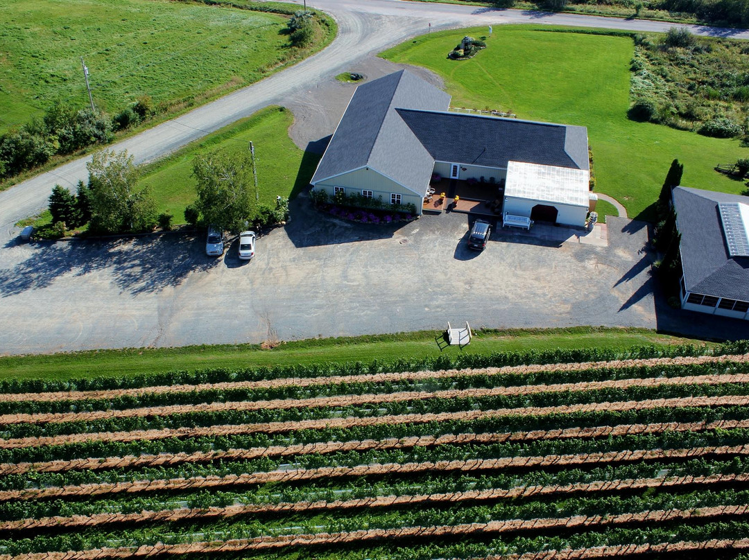 Sainte-Famille Wines Limited