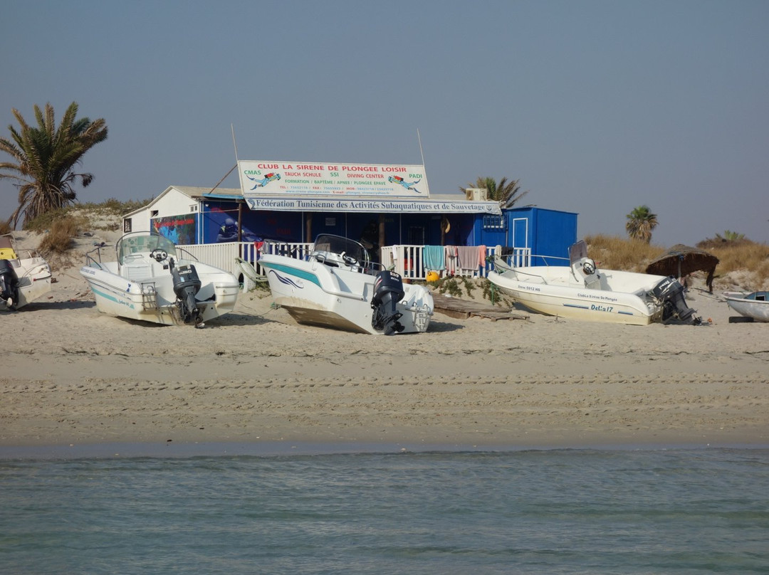 Club de Plongée La Sirène - Djerba Diving Center-米栋必去景点