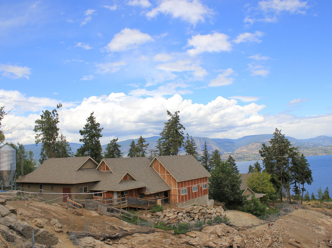 Carmelis Alpine Goat Cheese Artisan-基洛纳必去景点