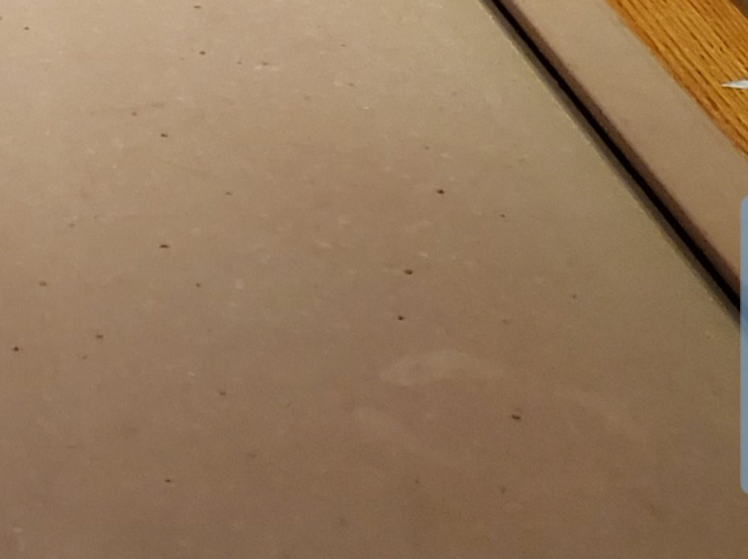 Hemlock Hills Resort主图