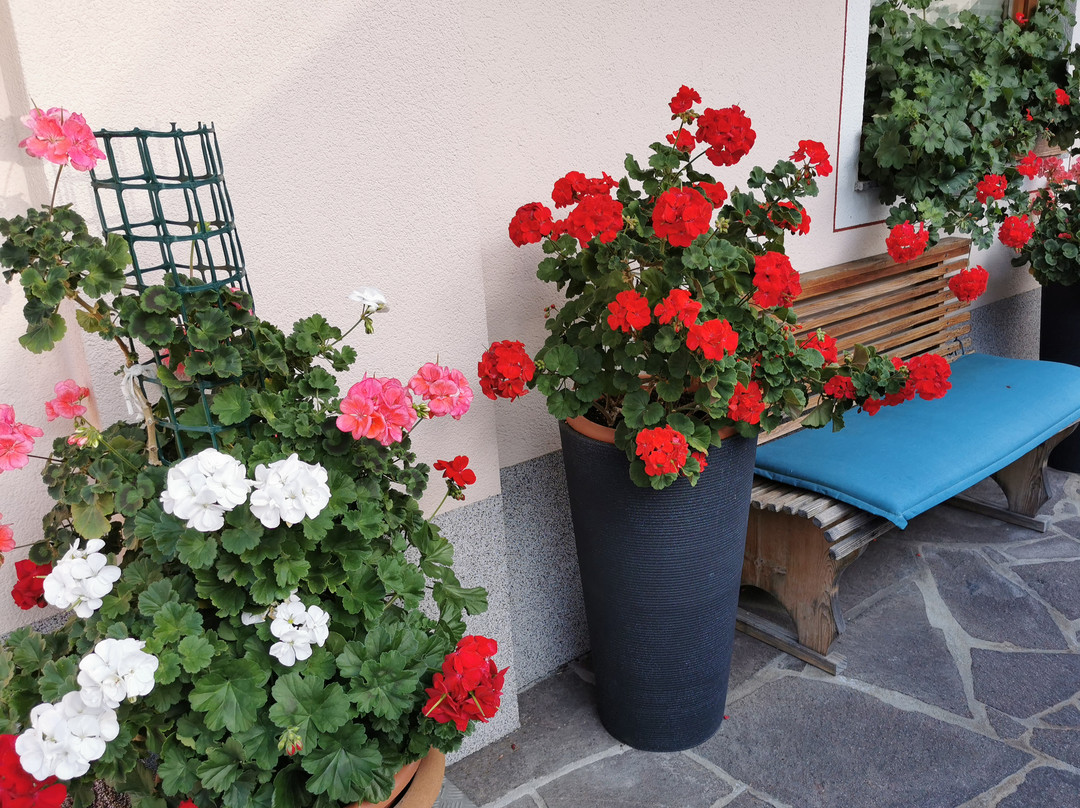 Gastehaus Spergser主图