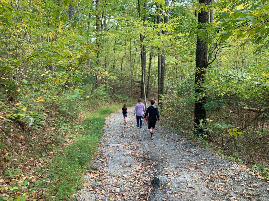 Sugar Hollow Trail to Blue Hole-Crozet必去景点