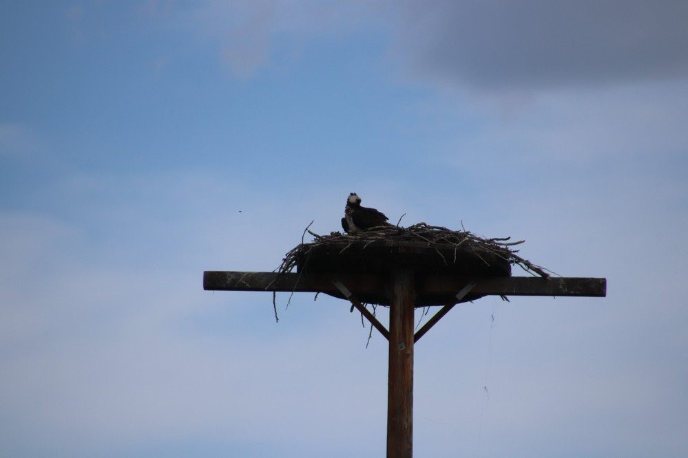 Lake Elmo State Park-比灵斯必去景点