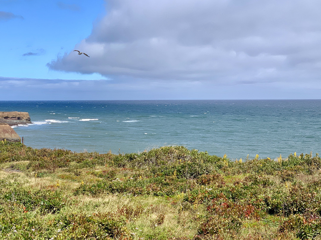 Marconi National Historic Site of Canada景点图片