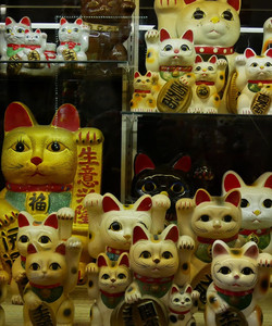 Lucky Cat Museum景点门票图片