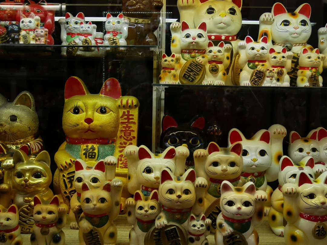 Lucky Cat Museum-辛辛那提必去景点