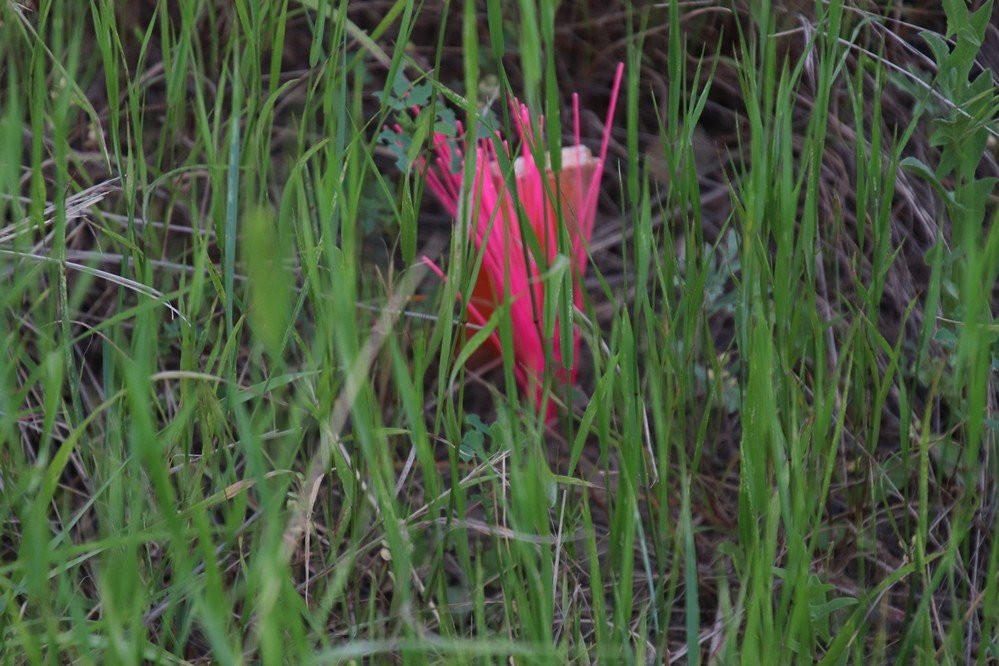 Boot Hill Cemetery-比灵斯必去景点