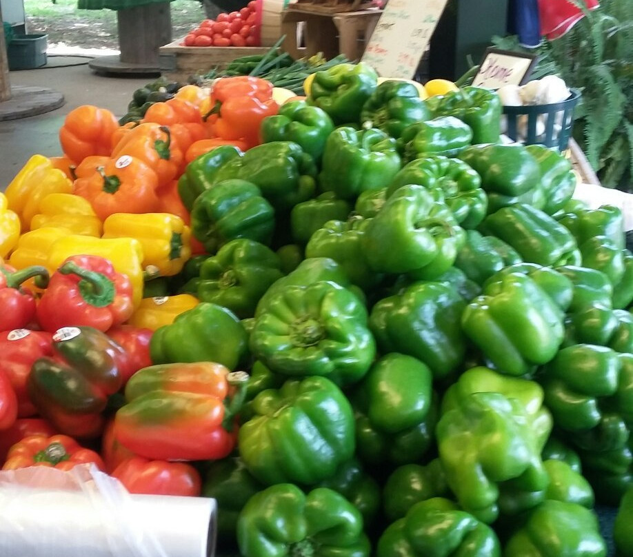 Grandy旅游景点-Grandy Greenhouse Farm Market