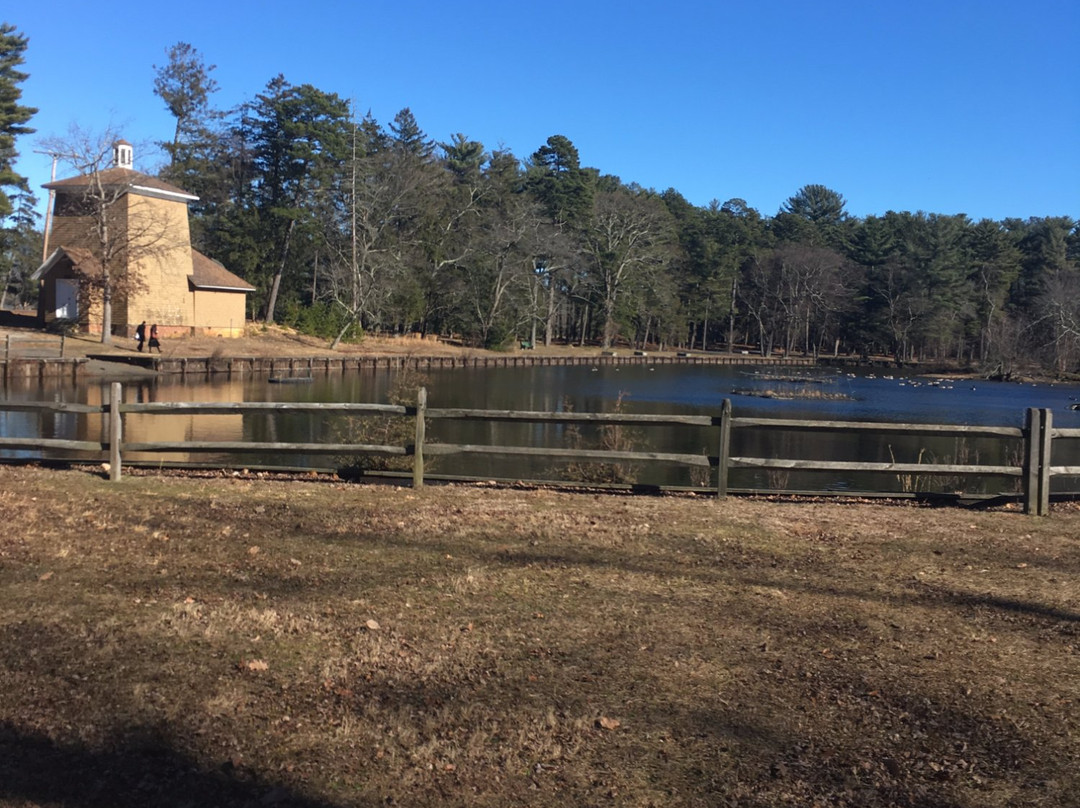 Ocean County Park景点图片