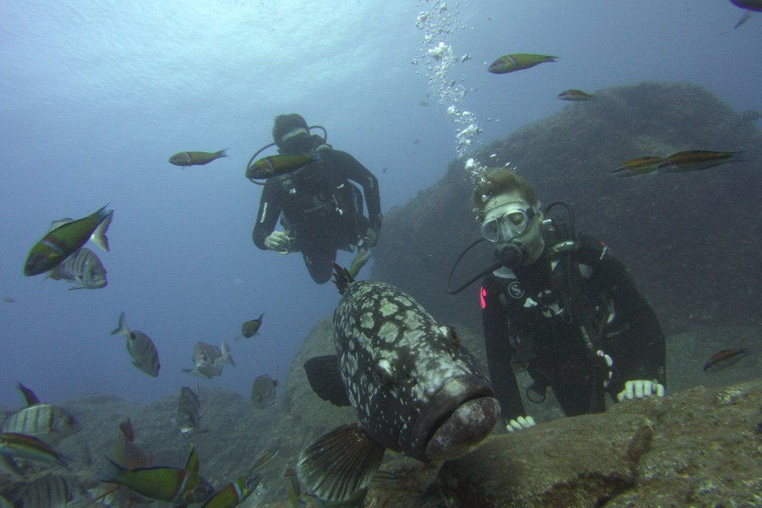 Mero Diving Center景点图片